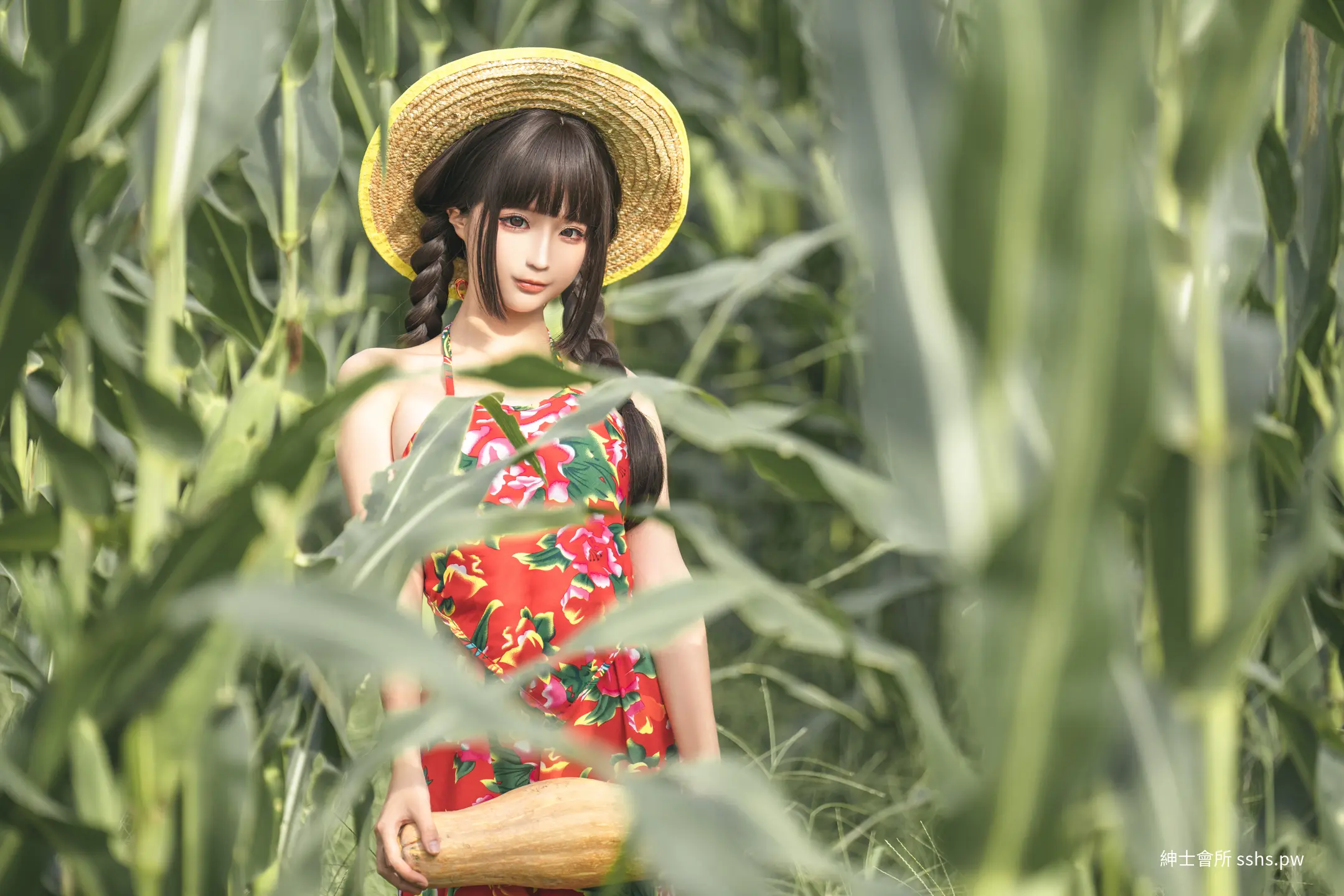 图片 13